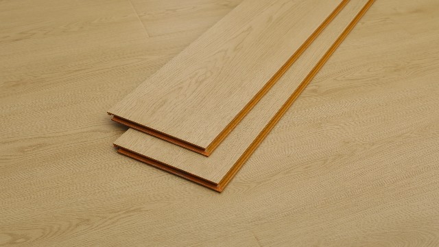 草莓视频在线免费观看一2209
